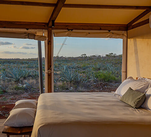 glamping estilo africano en mexico