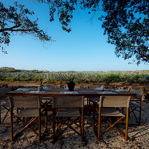 desayuno al aire libre - merida