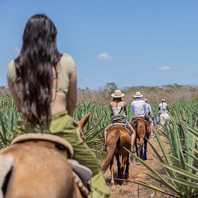 viajes para grupos de amigos en yucatan