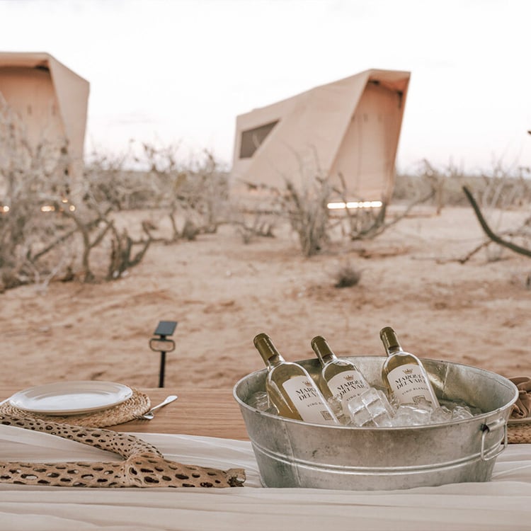 glamping_bahia_magdalena
